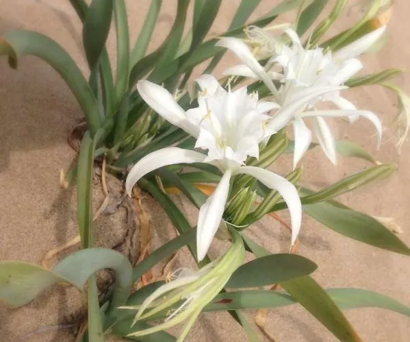 Life Private アパート